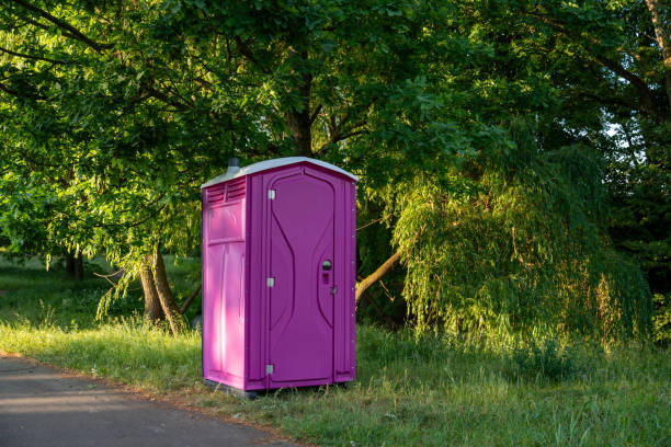 Portable Toilet Options We Offer in Haubstadt, IN